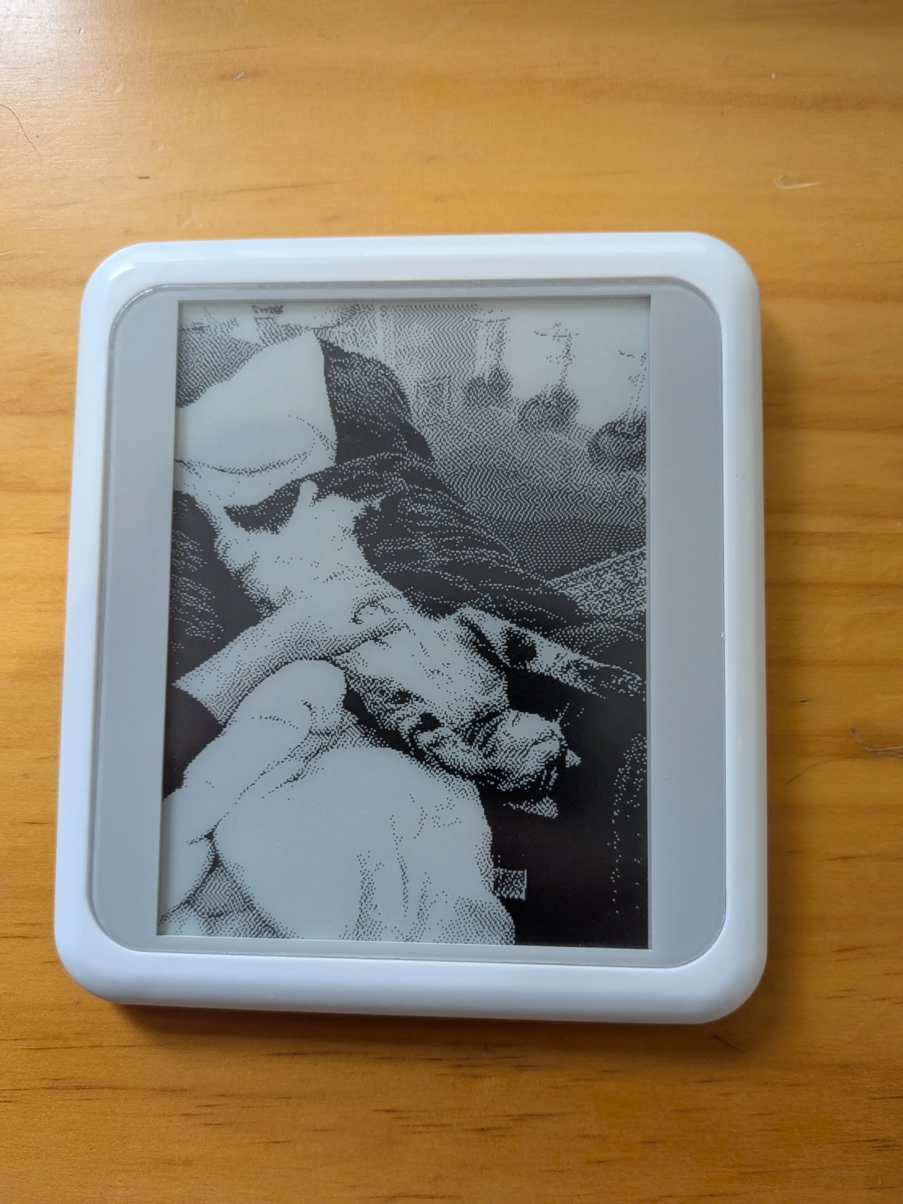 Photo of a cat on the larger e-ink display.